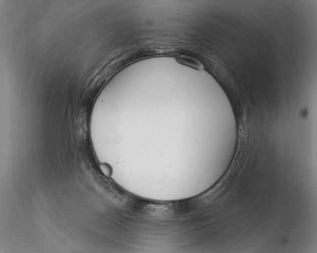 X0000116040170200912111448