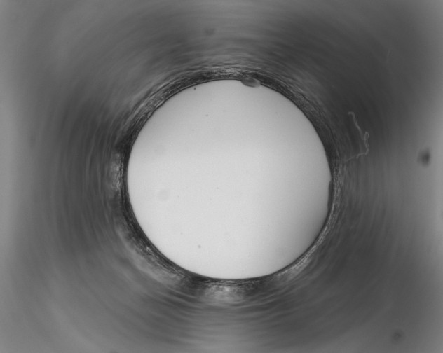 X0000116040174200912111448