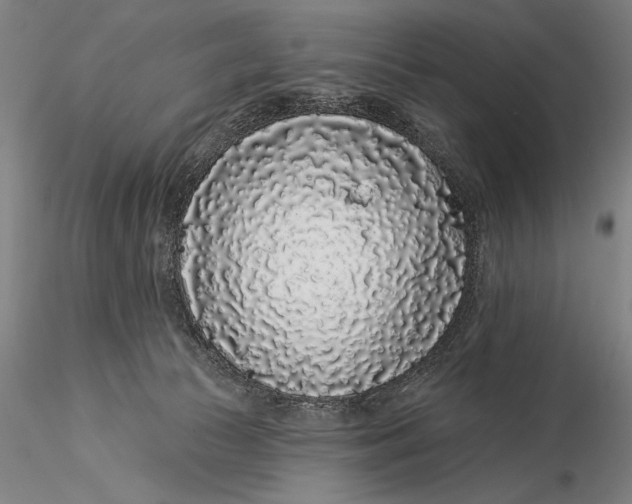 X0000116040177200912111448