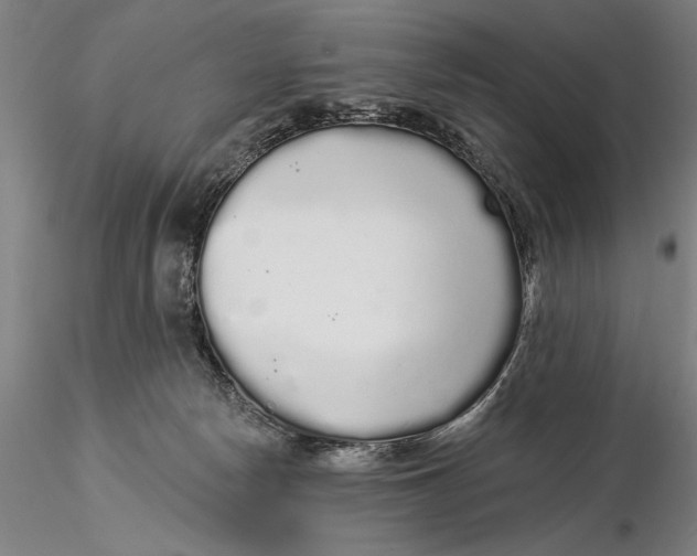 X0000116040178200912111448