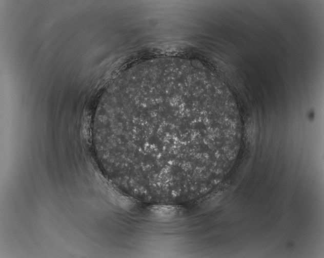 X0000116040181200912111448