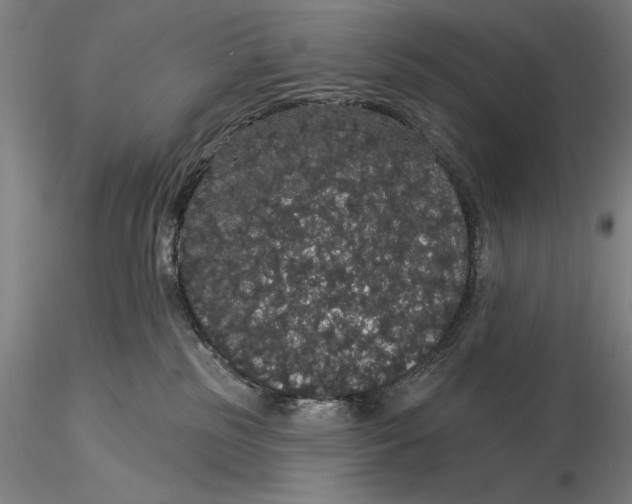 X0000116040185200912111448