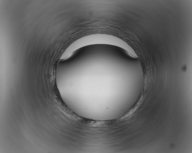 X0000116040186200912111448