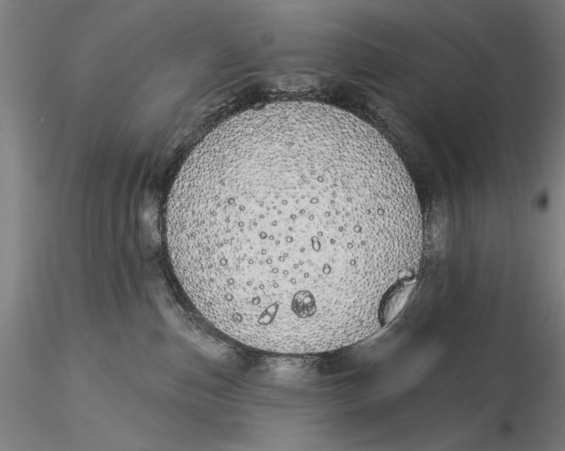 X0000116040187200912111448
