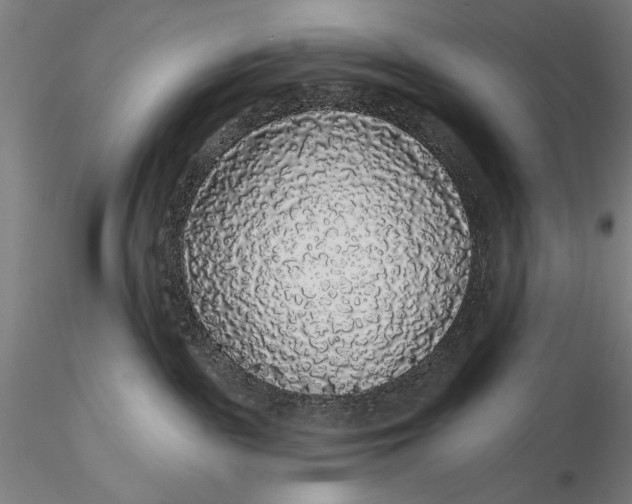 X0000116040189200912111448