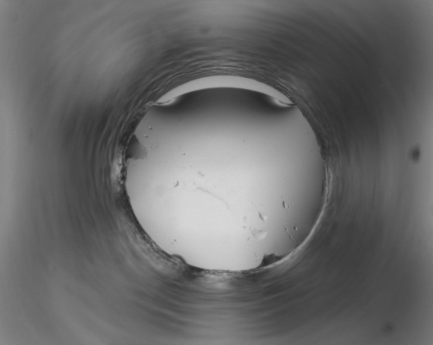 X0000116040190200912111449