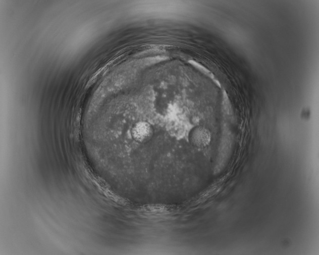 X0000116040194200912111448