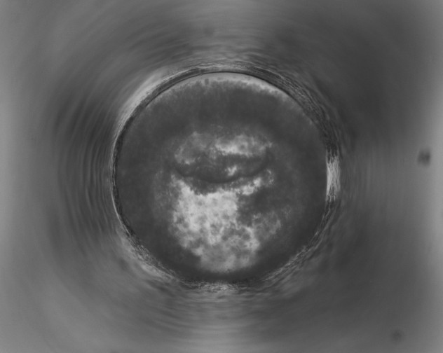 X0000116040195200912111448