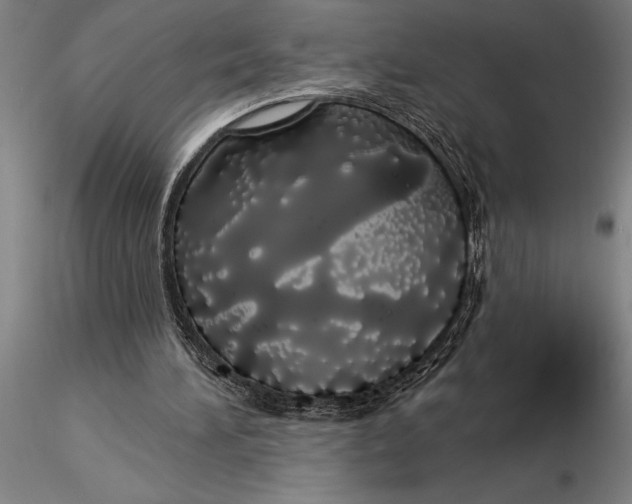 X0000116040196200912111448