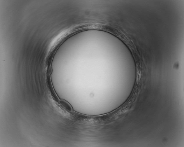 X0000116040197200912111448