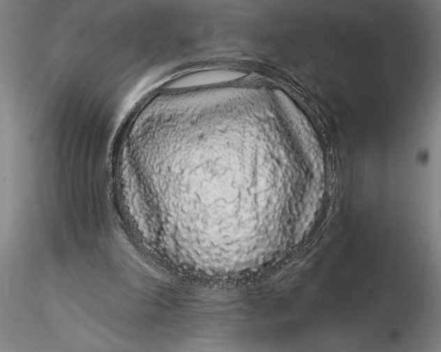 X0000116040198200912111448
