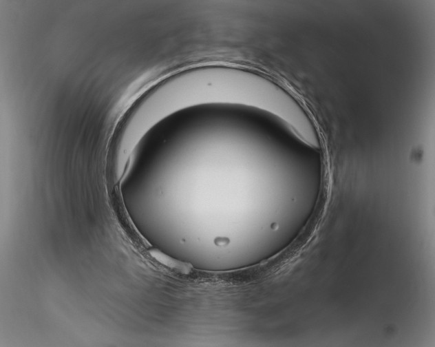 X0000116040199200912111448