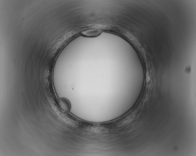 X0000116040201200912111448