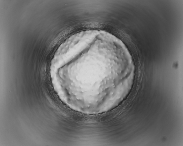 X0000116040202200912111448