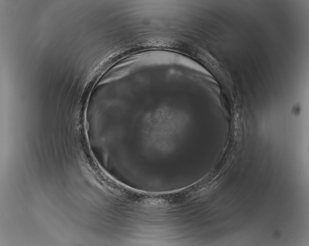 X0000116040203200912111448