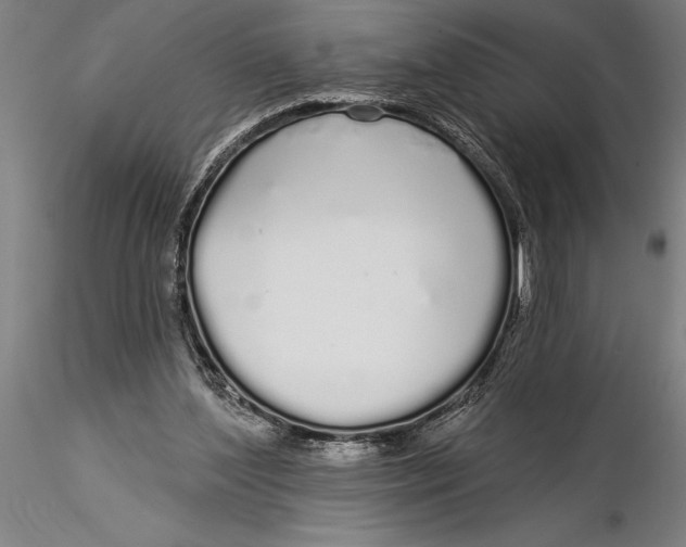 X0000116040204200912111448
