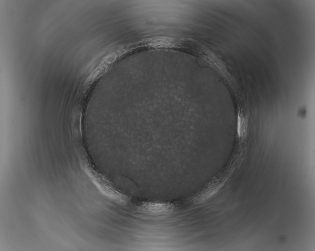 X0000116040205200912111448