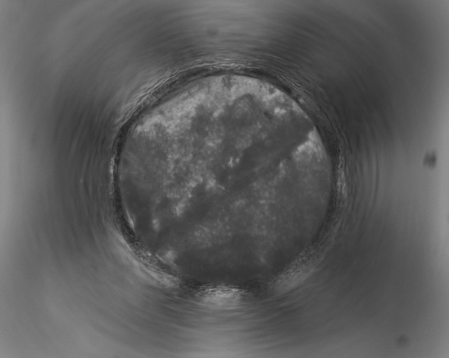 X0000116040206200912111448
