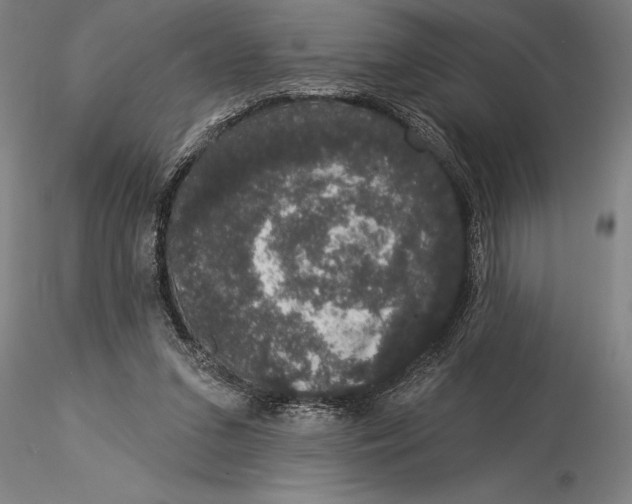 X0000116040207200912111448