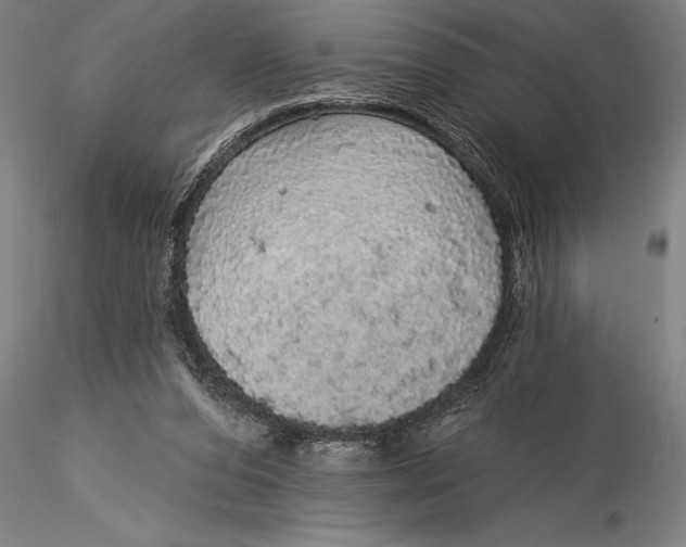X0000116040208200912111447