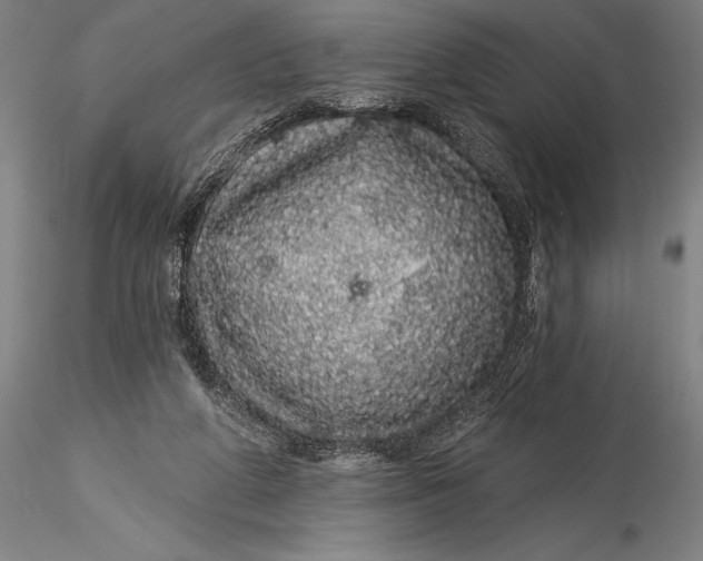 X0000116040210200912111447