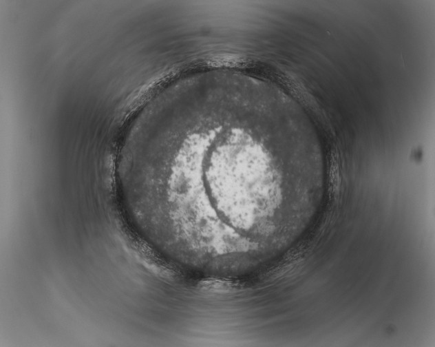 X0000116040211200912111447