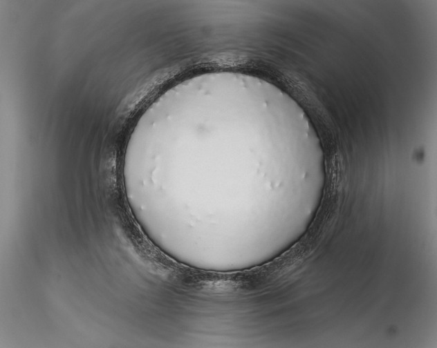 X0000116040212200912111447