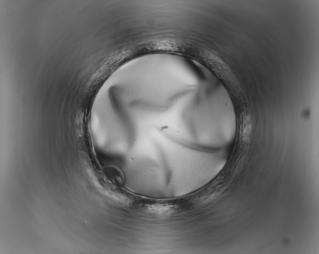 X0000116040213200912111447