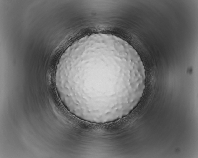 X0000116040214200912111447
