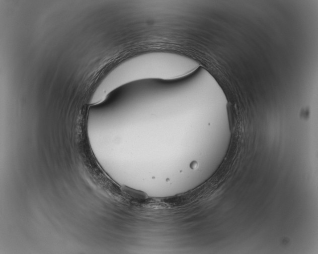 X0000116040215200912111447