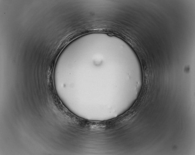 X0000116040216200912111447