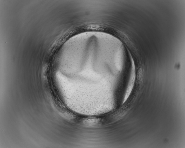 X0000116040217200912111447