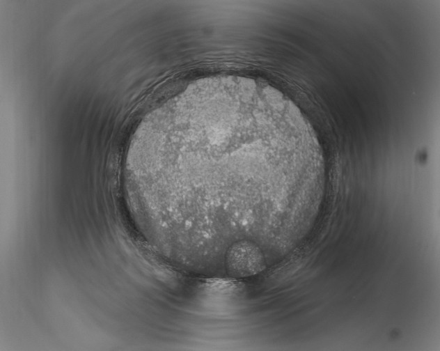 X0000116040218200912111447