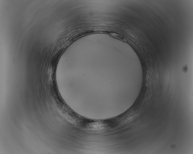 X0000116040219200912111447