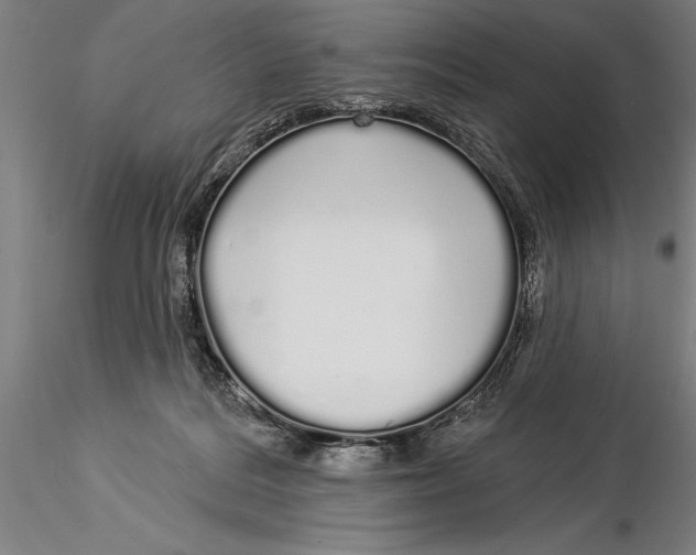 X0000116040220200912111447