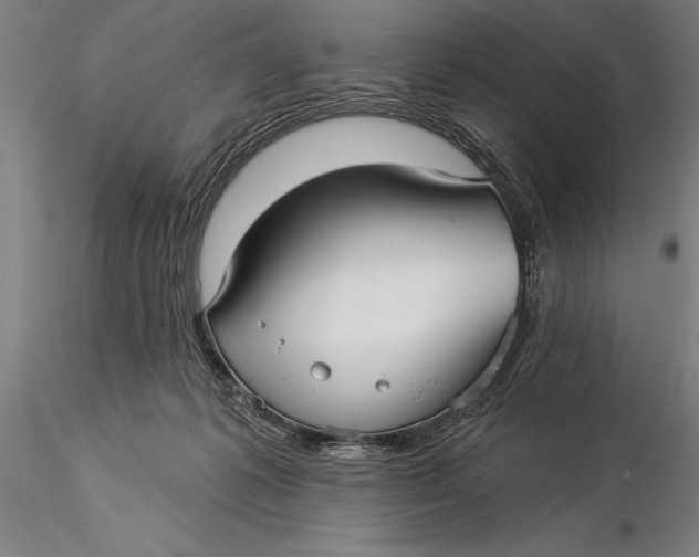 X0000116040221200912111447