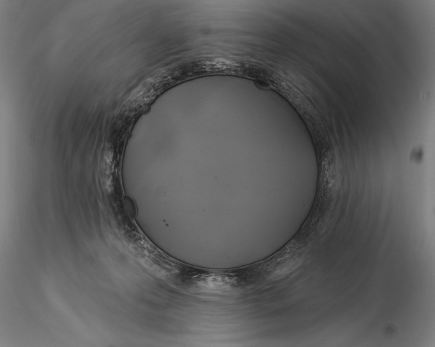 X0000116040223200912111447