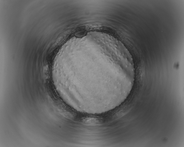 X0000116040224200912111447