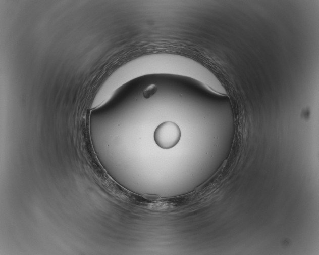 X0000116040225200912111447