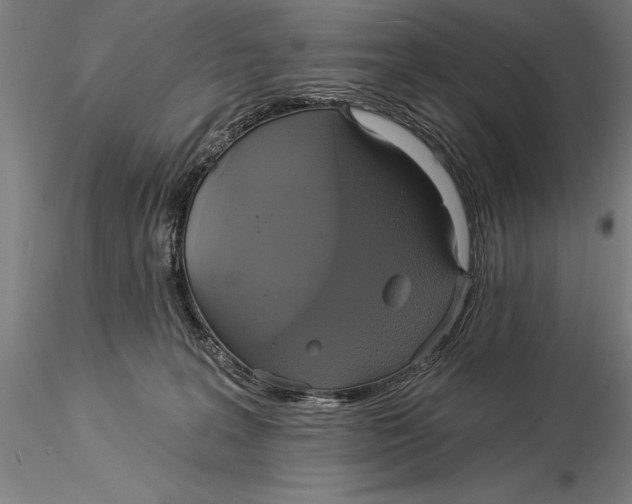 X0000116040227200912111447