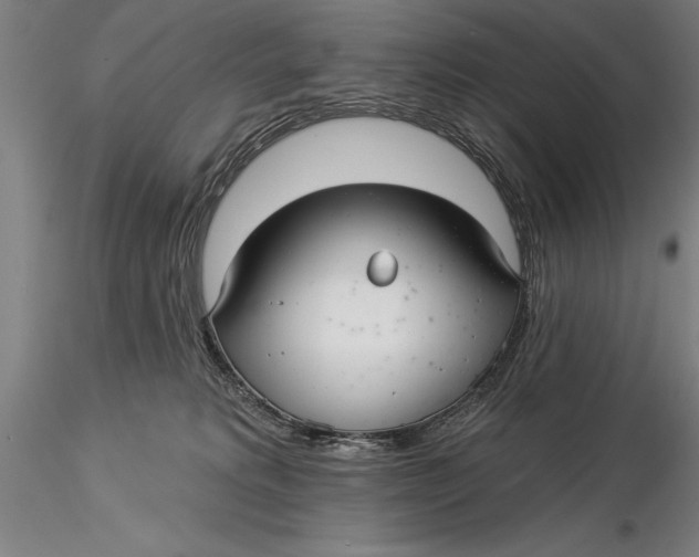 X0000116040229200912111447