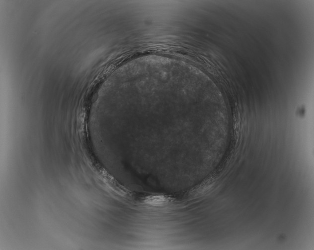 X0000116040231200912111447