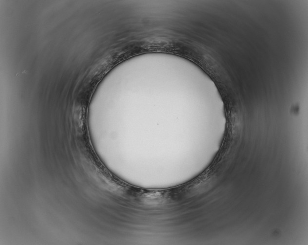 X0000116040232200912111447