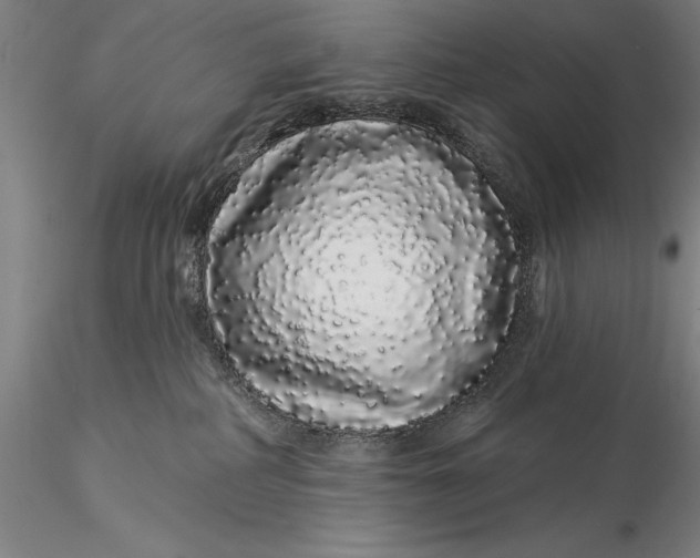 X0000116040234200912111447