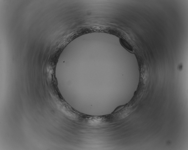 X0000116040235200912111447