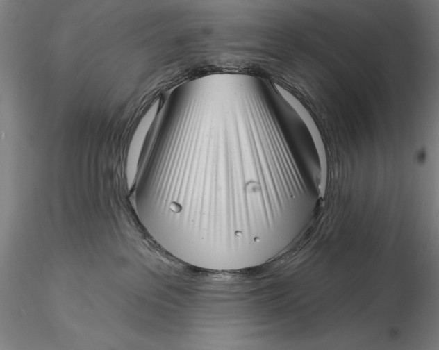 X0000116040237200912111447