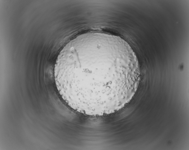 X0000116040238200912111447