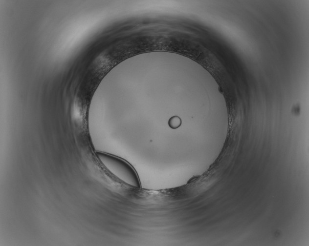 X0000116040239200912111447