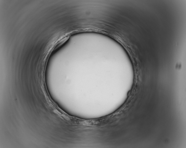 X0000116040241200912111446