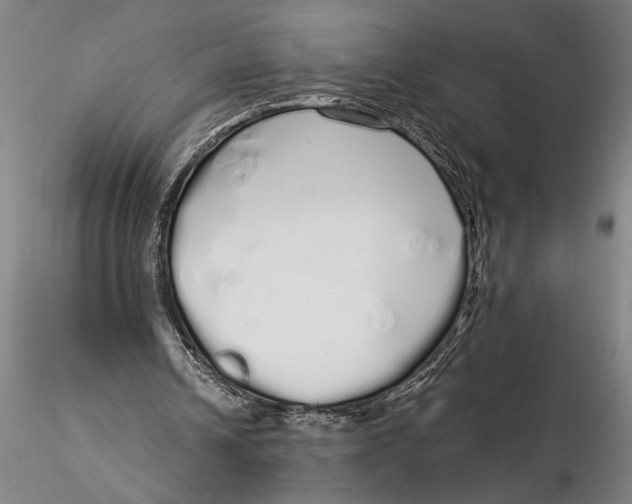 X0000116040242200912111446